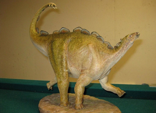 Infant Stegosaurus